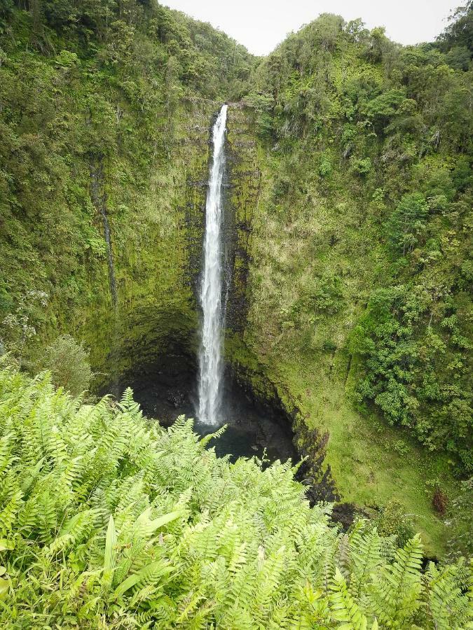 Humble Home In Hawaii Ainaloa Exterior photo